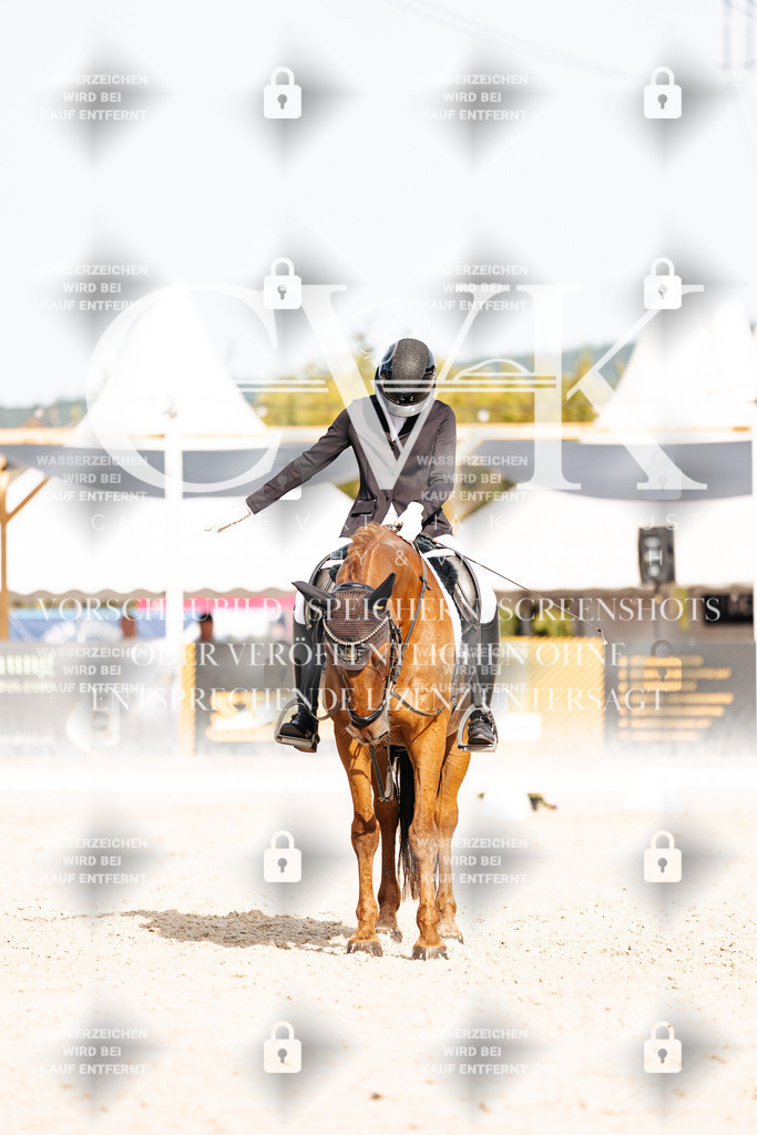 CK905220 | Turnierfotografie Pferdefotografie Trier Rheinland-Pfalz Pferdesport Reitsport Tierfotografie Sportfotografie Pferdevideo Pferdevideografie Equestrianvideography equestrianphotography  - Realisiert mit Pictrs.com