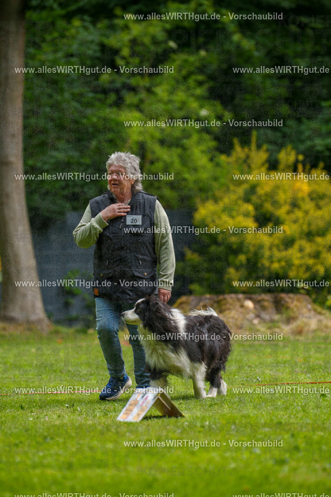 @allesWIRTHgut_Tierfotografie - www.allesWIRTHgut.de - 094016-7R507492 | Professionelle Tierfotografie in Mönchengladbach von Daniel Wirth (allesWIRTHgut). Liebevolle & natürliche Bilder von Hunden & Katzen für unvergessliche Erinnerungen.