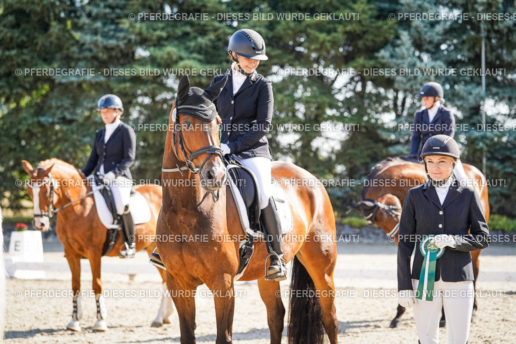 DSC00150 | Pferdegrafie