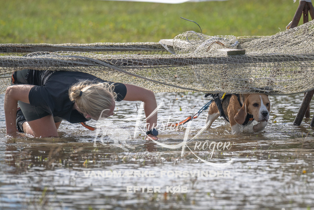 1205_ZZ91145 | kk-dogfotos