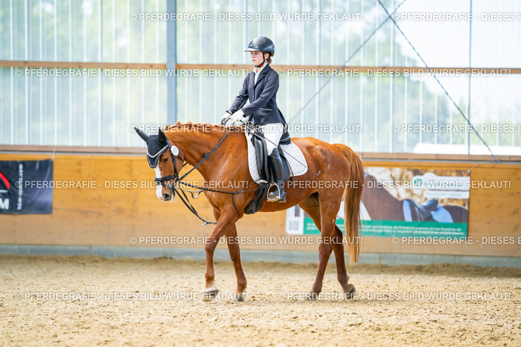 DSC09481 | Pferdegrafie