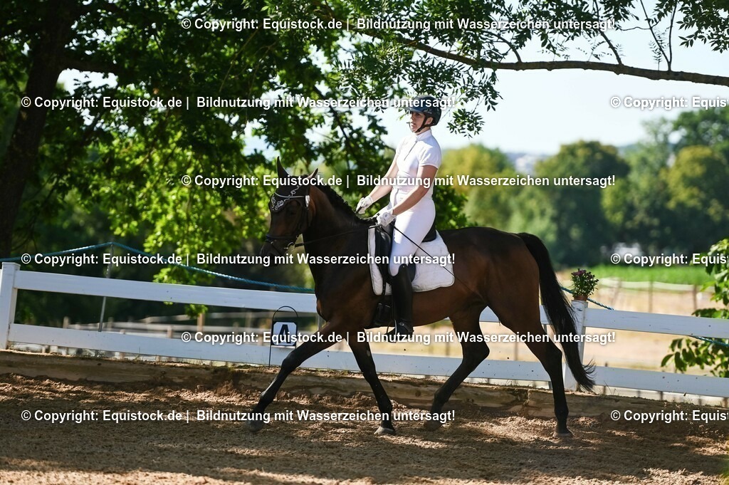 20230715_06_Dressurpferdeprfg. Kl.A_0291 | equistock
