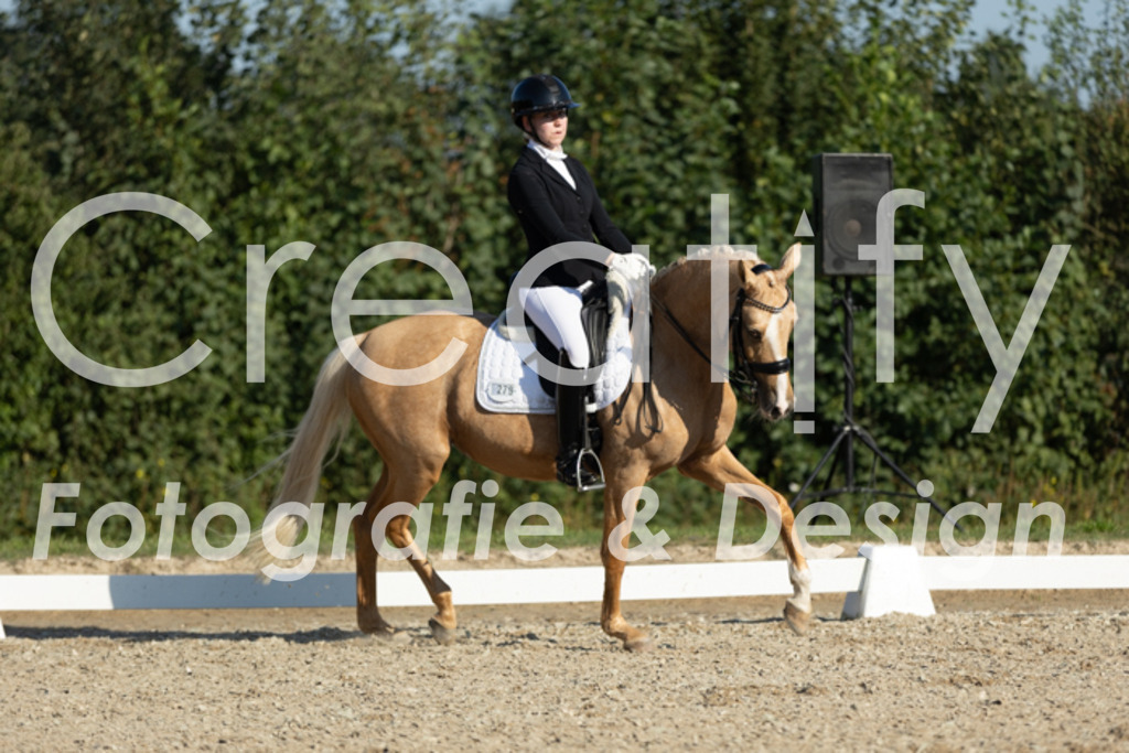 IMG_0942 | Creatify Fotografie