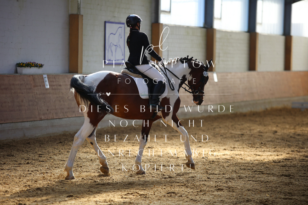 IMGT6295 | pl-fotografie