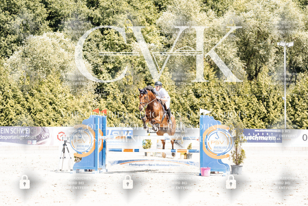 CK900548 | Turnierfotografie Pferdefotografie Trier Rheinland-Pfalz Pferdesport Reitsport Tierfotografie Sportfotografie Pferdevideo Pferdevideografie Equestrianvideography equestrianphotography  - Realisiert mit Pictrs.com