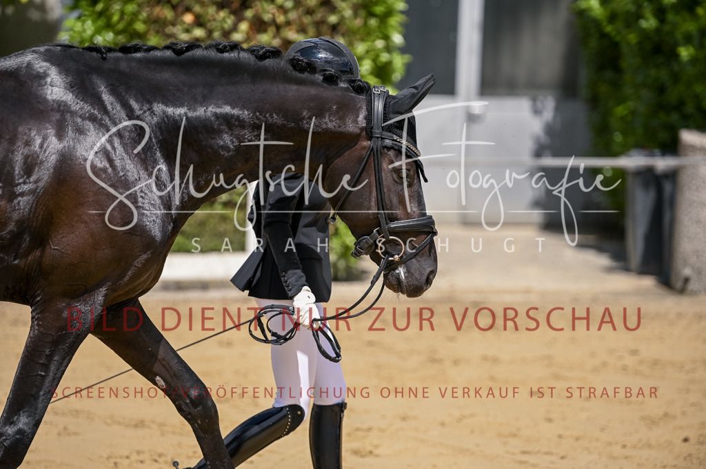 Schugtsche-Aluta25-48.Reitpferfdeprf.-111 | Schugtsche Fotografie - Realisiert mit Pictrs.com