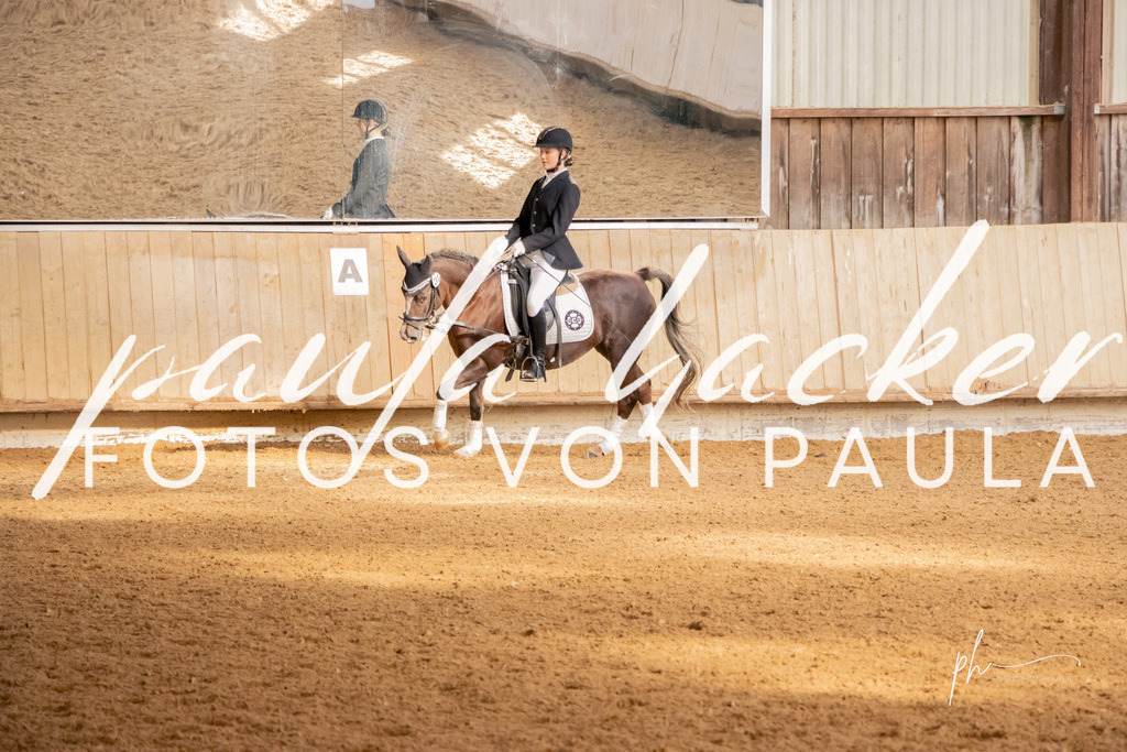 IMG_3417 | Erleben Sie dynamische Sport- und emotionale Tierfotografie in Süddeutschland mit Fotos von Paula. Spezialisiert auf Pferde- und Hundefotografie sowie Sportevents. Kontaktieren Sie mich für einzigartige und ausdrucksstarke Bilder Ihrer besonderen Momente. - Realisiert mit Pictrs.com