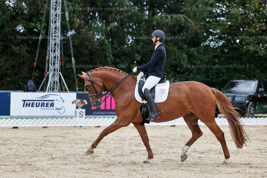 04_1-060-Dressur M__ -StoibPH-StoibPH-2656 | working equitationturnier fotograf videograf stoibphotography marixx film working equitation deutschland reitsport turnierfotografie eventfotografie equestrian events