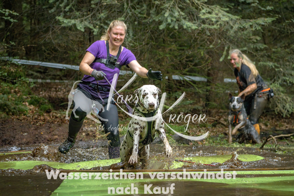 1530_ZZ90983-Bearbeitet | kk-dogfotos