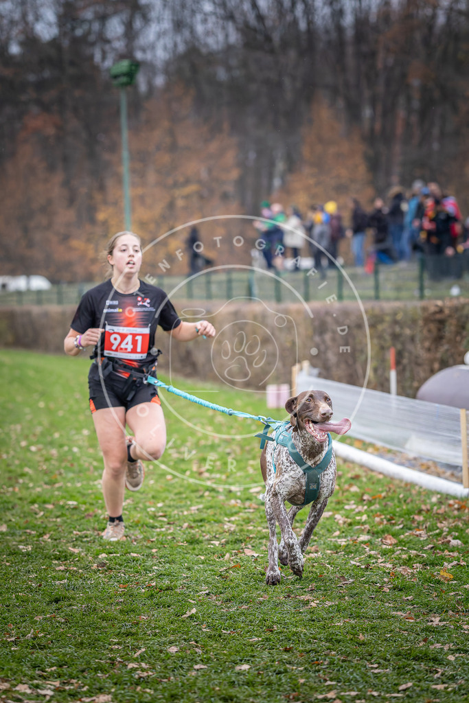 CaniXpix_DV3A7206 | Hundefotografie, Tierfotograf, Pfotenfotografie, Fotoshooting Hund, Hunde Portrait, Hundesport, Hundeportraits, Heideshooting, Hunde, Sportfotograf, Hundefotograf, Turnierhundsport, THS,  - Realisiert mit Pictrs.com