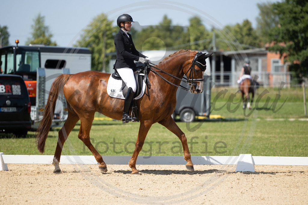 994A2898 | sabrinanicolaifotografie - Realisiert mit Pictrs.com