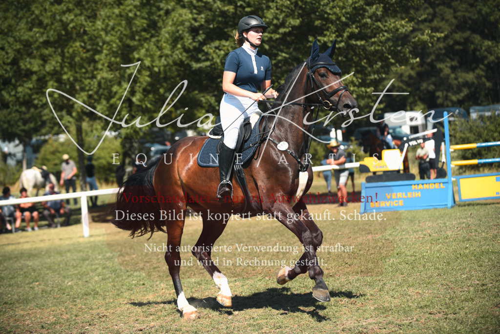 DSC_7013 | Pferde- und Turnierfotografie in Westsachsen. Pferdeportraits, Auftragszeichnungen und intuitive Kunst.