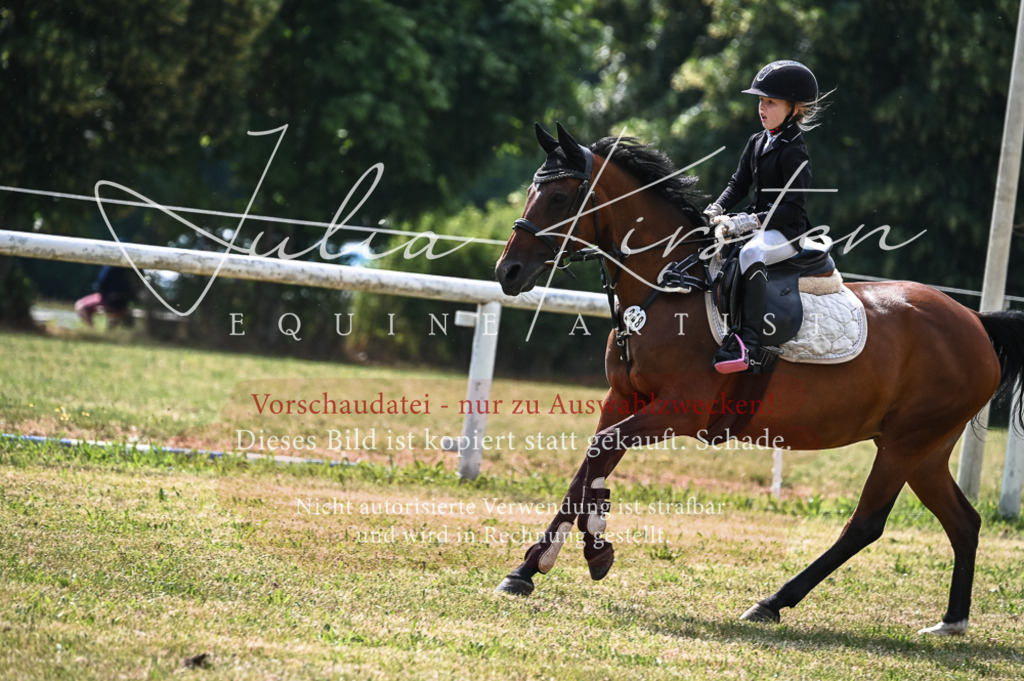 DSC_8522 | Pferde- und Turnierfotografie in Westsachsen. Pferdeportraits, Auftragszeichnungen und intuitive Kunst.