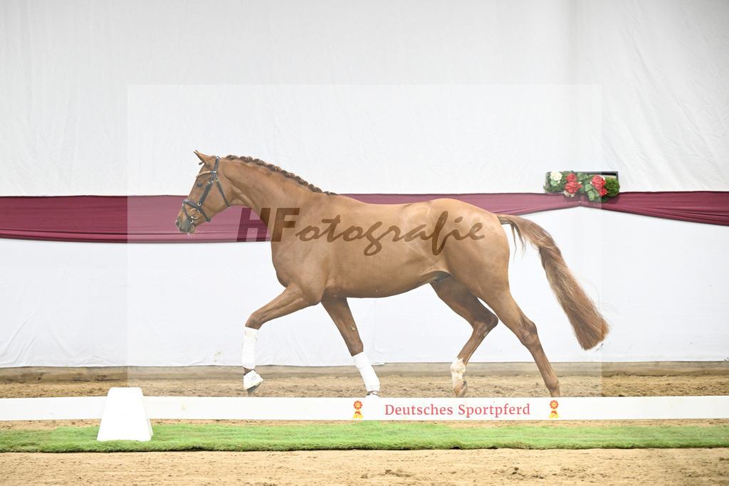 Kat-Nr. 133 Von Und Zu x Locksley III_Sabine Lehner_47254500 | hf-fotografie - Realisiert mit Pictrs.com