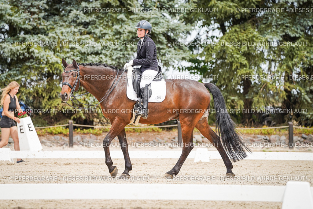 DSC04937 | Pferdegrafie