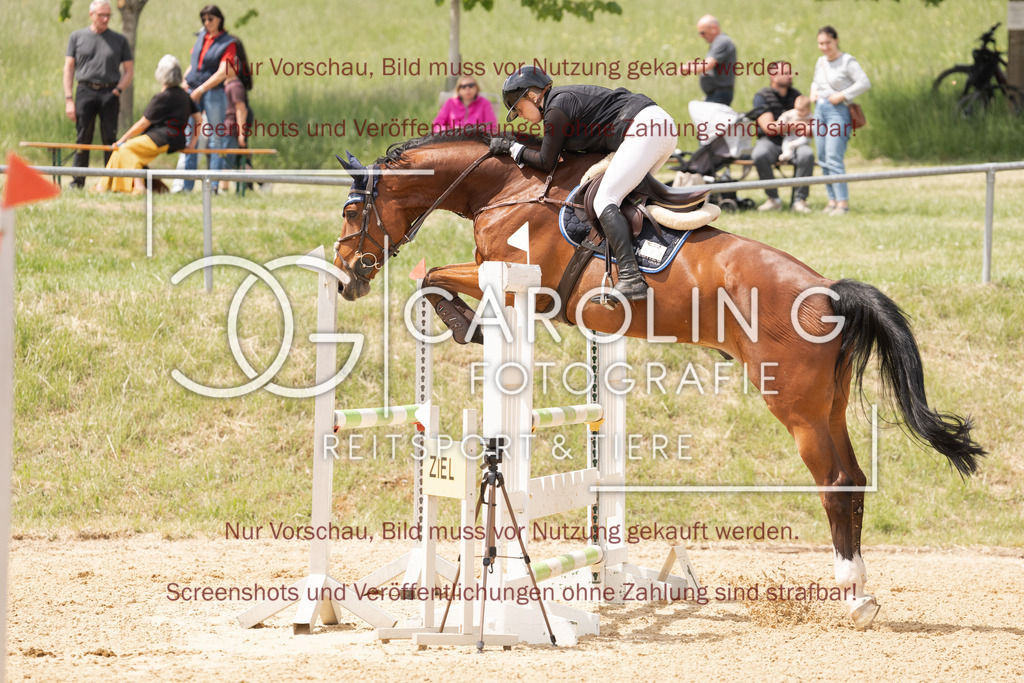 DSC06734 | Springturnier_Ehingen_Mai_2026, Mia_Kunze, Chaplis_4