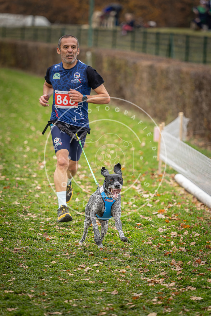 CaniXpix_DV3A6733 | Hundefotografie, Tierfotograf, Pfotenfotografie, Fotoshooting Hund, Hunde Portrait, Hundesport, Hundeportraits, Heideshooting, Hunde, Sportfotograf, Hundefotograf, Turnierhundsport, THS,  - Realisiert mit Pictrs.com