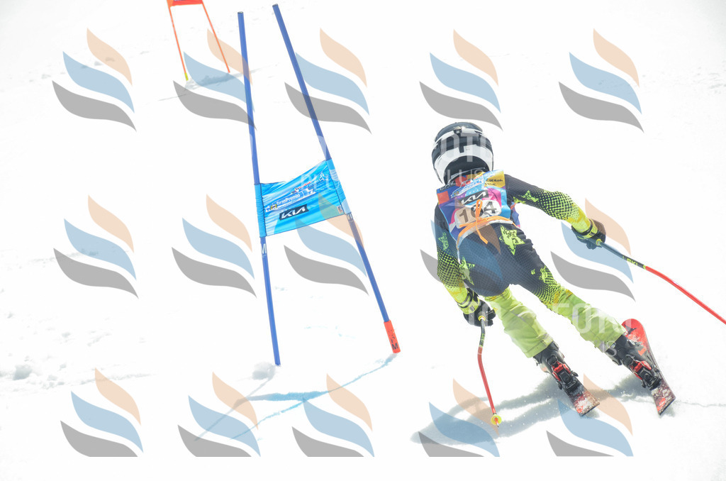 _ELE6478 | holidayphoto