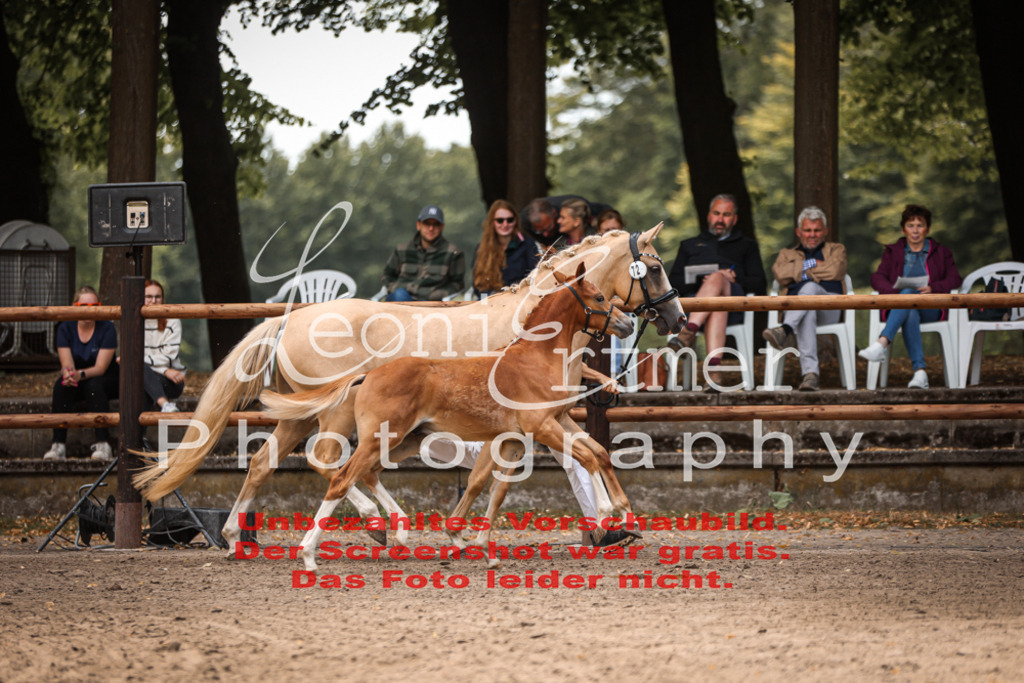 8.So00060 | Leoni Ertmer Photography - Realisiert mit Pictrs.com