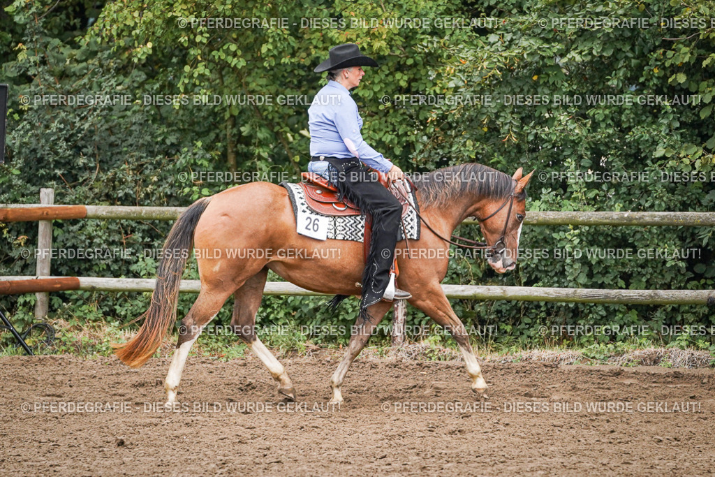 DSC02606 | Pferdegrafie