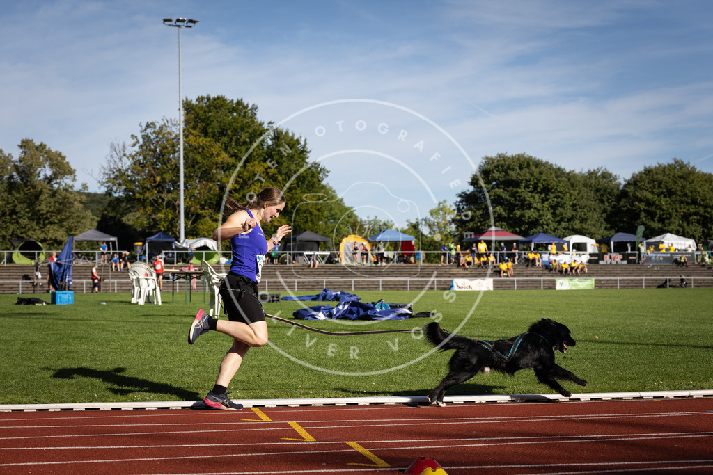 Pfotenfotografie_DV3A9311 | Hundefotografie, Tierfotograf, Pfotenfotografie, Fotoshooting Hund, Hunde Portrait, Hundesport, Hundeportraits, Heideshooting, Hunde, Sportfotograf, Hundefotograf, Turnierhundsport, THS,  - Realisiert mit Pictrs.com