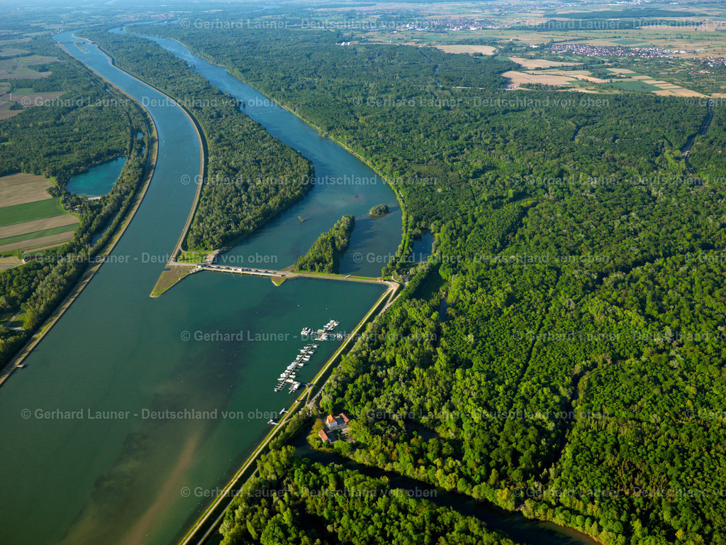 3096070 | Rheinauen bei Weisweil
