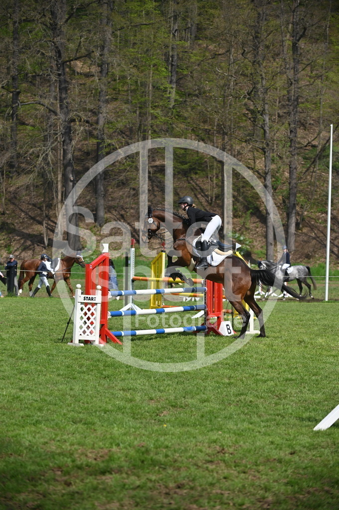 DSC_1224 | sattelsport - Realisiert mit Pictrs.com