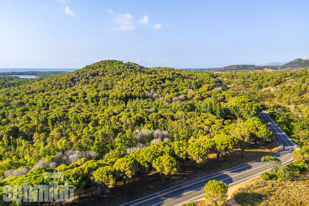 PS-Sardinien-2026-12 | Entdecke die größte Bildgalerie der Region mit Fotografien aus dem Allgäu, der Bodenseeregion, Oberschwaben, dem Donautal und der Schwäbischen Alb. Landschaften, Luftaufnahmen und Reisefotografie als Wandbild und Fotokunst. - Realisiert mit Pictrs.com