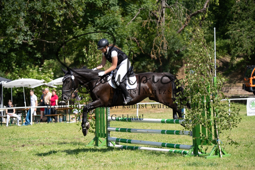 A7V05654 | Pferdefotograf