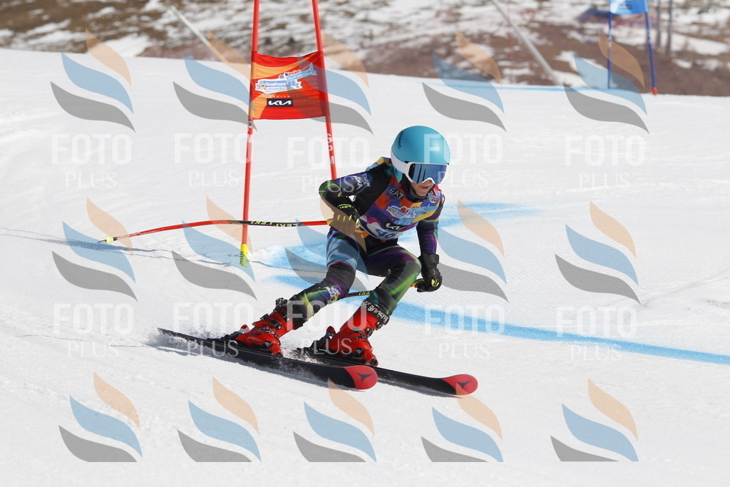 _U3G9332 | holidayphoto