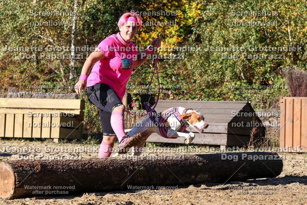 Dog Paparazzi - Strongdog 10-25-1964 | Dog Paparazzi Jeanette Grottendiek Fotografie & Videografie - Realisiert mit Pictrs.com