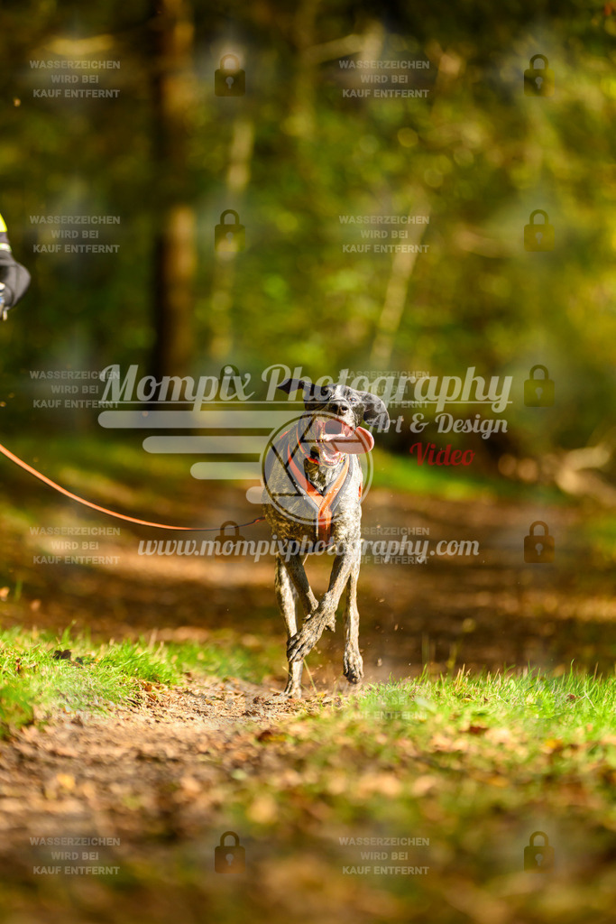 MompixPhotography_20TSB_E1_DS1-35 | PayLife