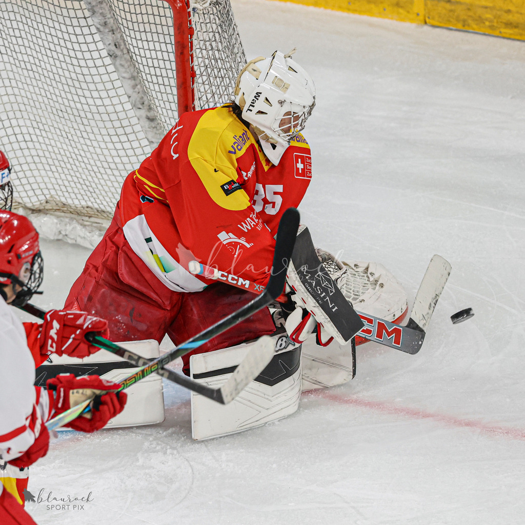EHC Biel-Bienne Spirit vs LHC Academy - 17. November 2024 | EHC Biel-Bienne Spirit vs LHC AcademyTissot Arena, Biel-BienneBild: Waltraud Blaurock | Blaurock Pix