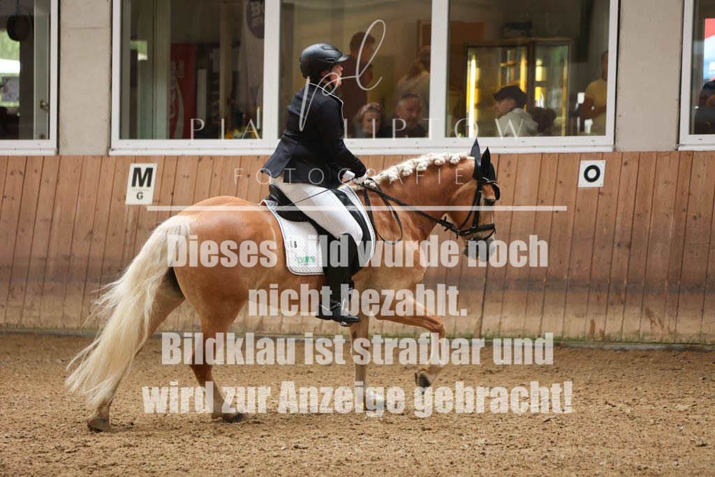 IMGS1701 | pl-fotografie