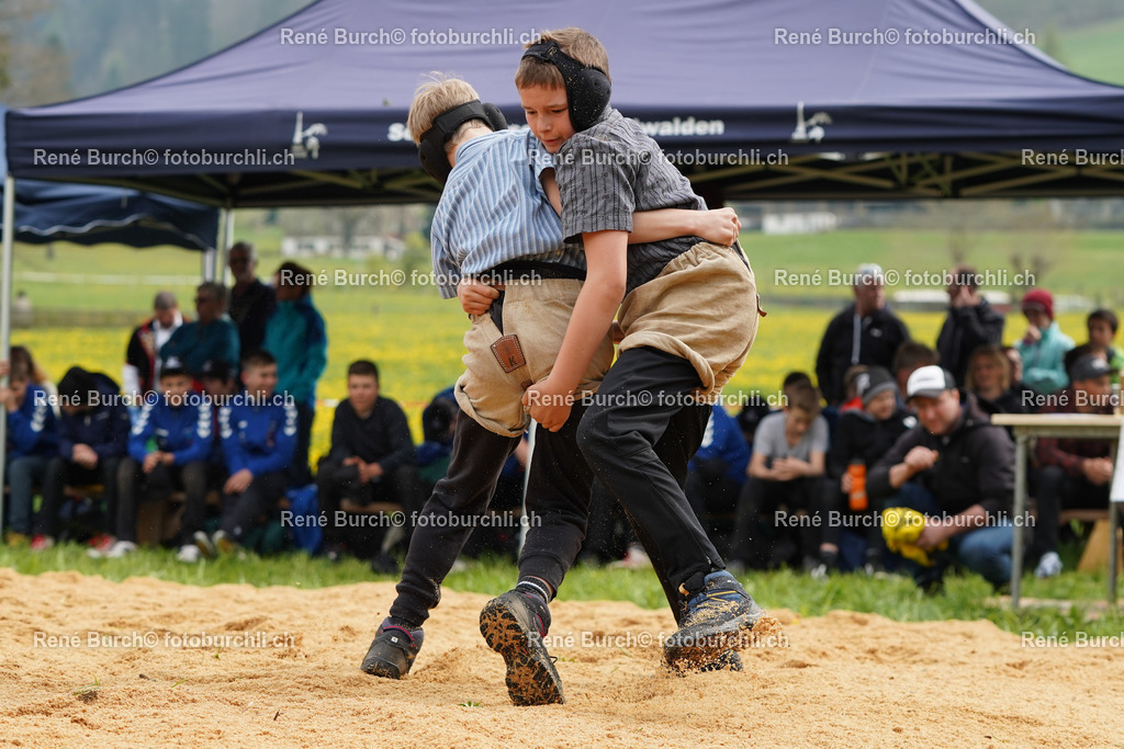 20220423-DSC08699 (2) | René Burch leidenschaftlicher Fotograf aus Kerns in Obwalden.  Hier finden sie Sport, Landschaft und Natur Fotografie.
 - Realisiert mit Pictrs.com