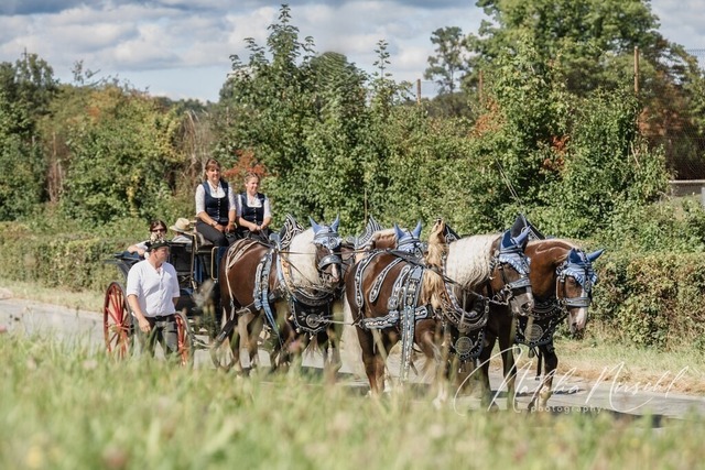 7V6A1183 | natalia-nirschl-photography