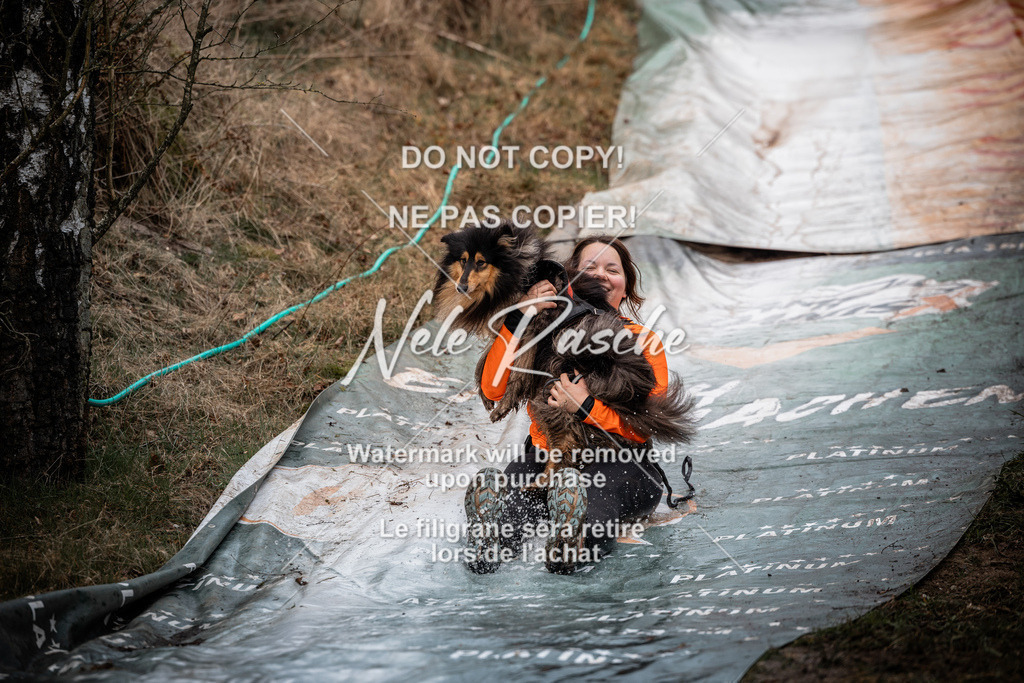 nelerasche_1330-1400_13 | nelerasche