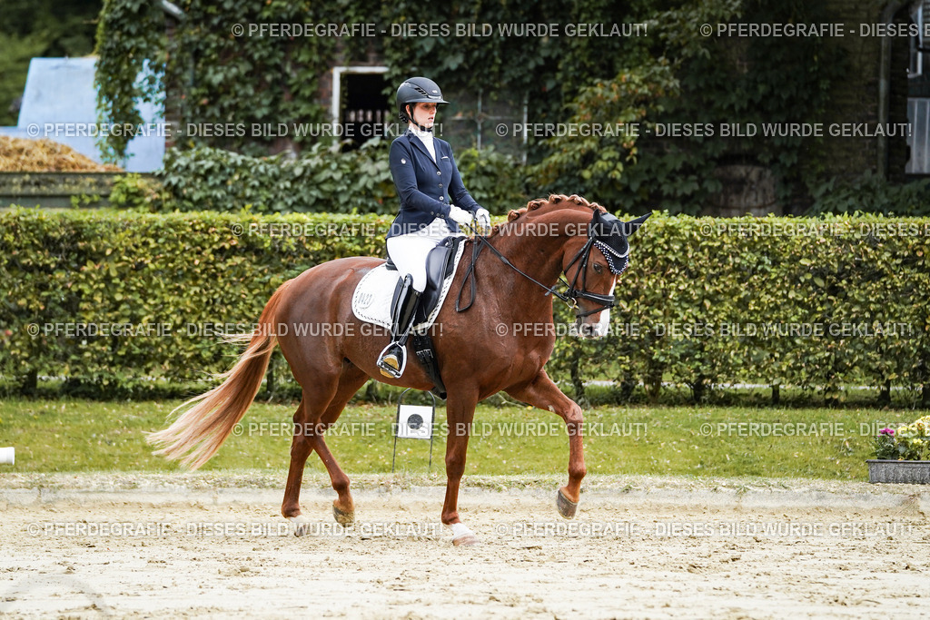 DSC06944 | Pferdegrafie