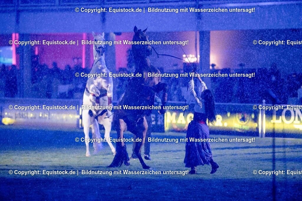 20250606_Lange-Pferdenacht_1157 | Foto: Thomas Hartig