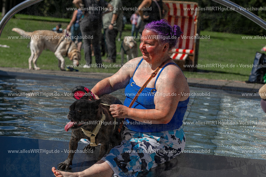 Hundeschwimmen_Volksbad_2026-allesWIRTHgut_Tierfotografie-2609061312-FAY06693 | Professionelle Tierfotografie in Mönchengladbach von Daniel Wirth (allesWIRTHgut). Liebevolle & natürliche Bilder von Hunden & Katzen für unvergessliche Erinnerungen.