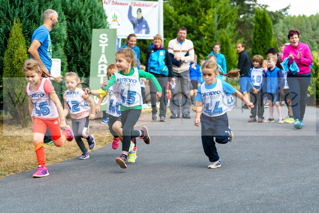 Rolf Schumann-Gedächtnislauf Frankenhain  | 15. Rolf Schumann-Gedächtnislauf in Frankenhain am 25. August 2018