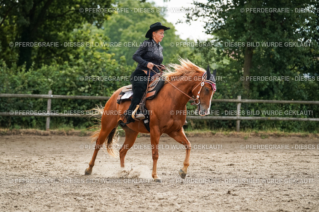 DSC03668 | Pferdegrafie