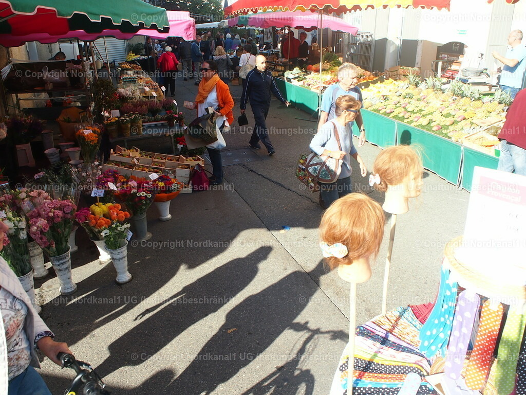 P1012184-1 | photograph1 - Realisiert mit Pictrs.com