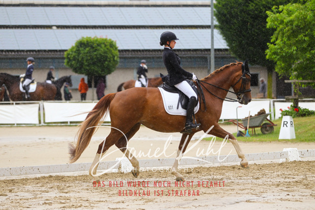 DKP40260 | Turniersportfotografie; Pferdefotografie; Dressurfotografie