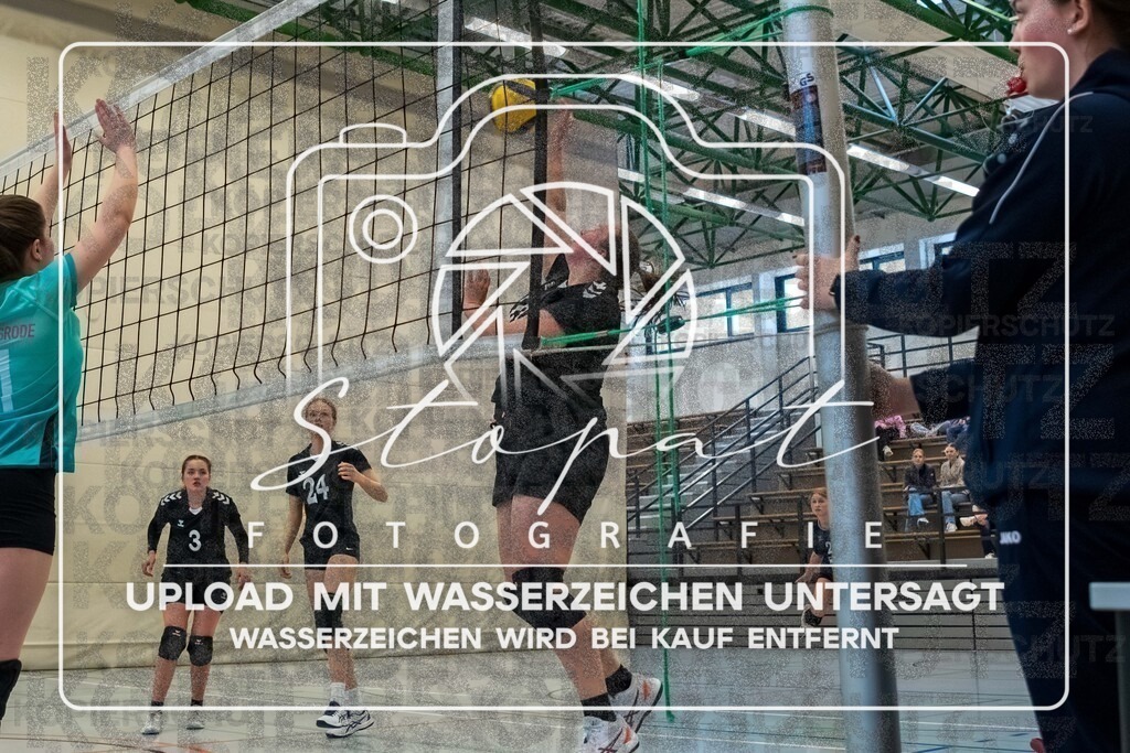 TVJ-1077 | Volleyball Doppelspieltag der 2. Damenmannschaft des TV Jahn Walsrode in der Bezirksklasse 4 Bremen/Lüneburg gegen SG Örtzetal II &amp; SVG Lüneburg VII  in der Sporthalle Gymnasium Walsrode, Walsrode (Simon Paul Stopat) - Realisiert mit Pictrs.com