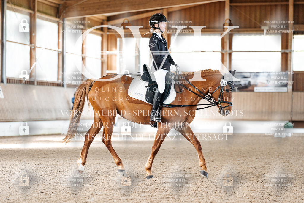CK908983 | Turnierfotografie Pferdefotografie Trier Rheinland-Pfalz Pferdesport Reitsport Tierfotografie Sportfotografie Pferdevideo Pferdevideografie Equestrianvideography equestrianphotography  - Realized with Pictrs.com