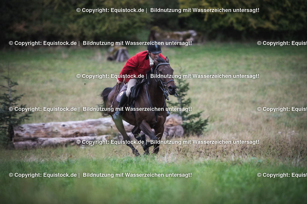 20241013_Jagd-Marbach_0291 | Foto: Thomas Hartig