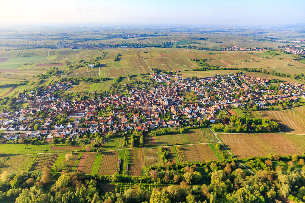 Luftbild: Ortsansicht von Norden im Ortsteil Arzheim in Landau im Bundesland Rheinland-Pfalz in Deutschland. Foto: IMG_113926.jpg vom 01.05.2019 durch Werner Riehm/FLY-FOTO.de