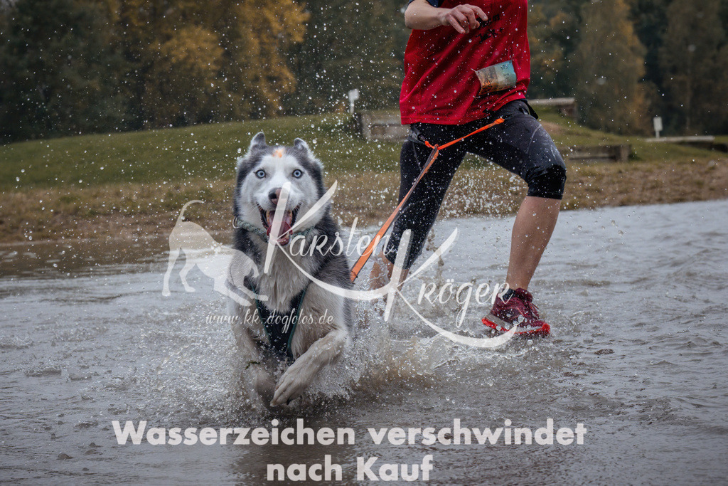 1304_ZZ92681 | kk-dogfotos