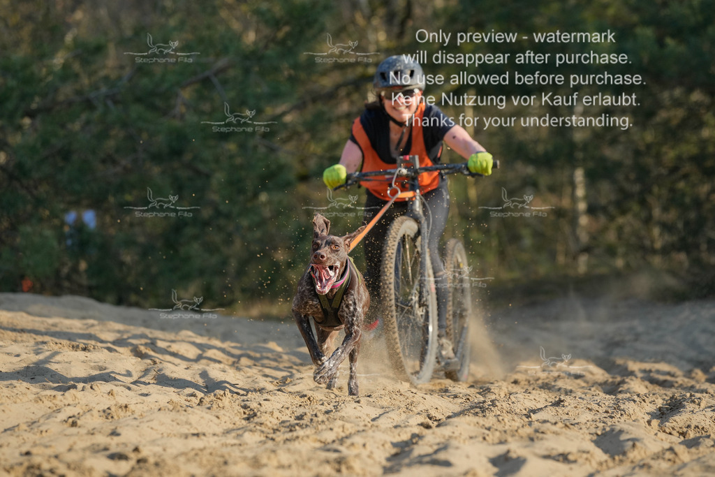 So_Scooter-102 | stephaniefillaphotographie - Realisiert mit Pictrs.com